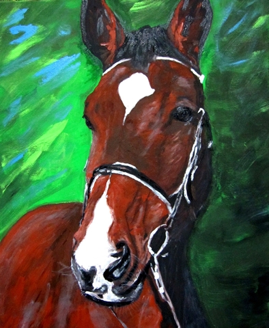 Portrety zwierząt Portrety zwierząt